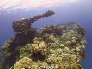 Bow gun of the Fujikawa Maru , truck by torpedo, at 14.20... by Steve Laycock 